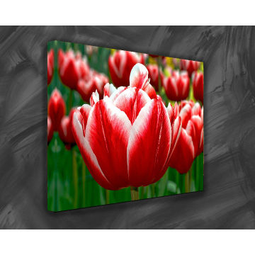 HD Digital Prints on Canvas with Factory Direct Sale